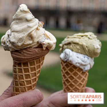 Brigat' Gelato - la glacerie Place des Vosges -  A7C9935