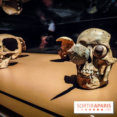 Mexica, des dons et des dieux au Templo Major : l'exposition du musée du Quai Branly se dévoile - IMG20240402105855