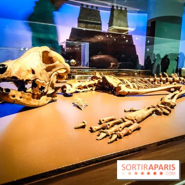 Mexica, des dons et des dieux au Templo Major : l'exposition du musée du Quai Branly se dévoile - IMG20240402105127
