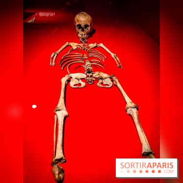 Mexica, des dons et des dieux au Templo Major : l'exposition du musée du Quai Branly se dévoile - IMG20240402104212