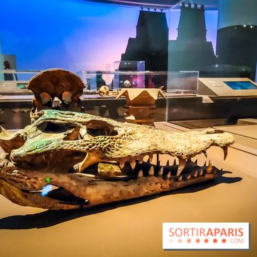 Mexica, des dons et des dieux au Templo Major : l'exposition du musée du Quai Branly se dévoile - IMG20240402105318