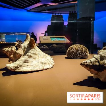 Mexica, des dons et des dieux au Templo Major : l'exposition du musée du Quai Branly se dévoile