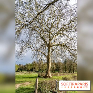 Le Parc du Château de Plaisir (78) - photos