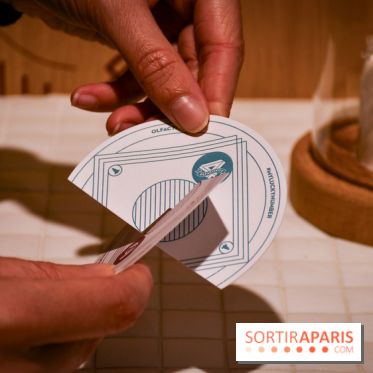 Olfactivity, la boutique pour des parfums personnalisés