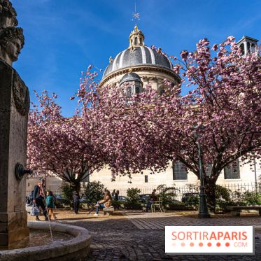 Square Gabriel Pierné à Paris - cerisiers en fleurs