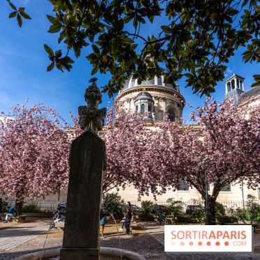 Square Gabriel Pierné à Paris - cerisiers en fleurs
