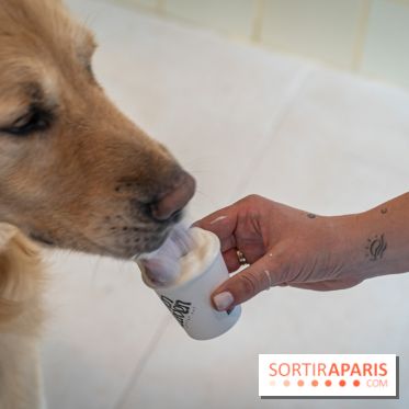 Seven Heaven, le coffee shop dog's friendly et kid's friendly de Paris 11e - River