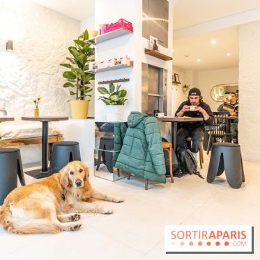 Seven Heaven, le coffee shop dog's friendly et kid's friendly de Paris 11e -  A7C0496