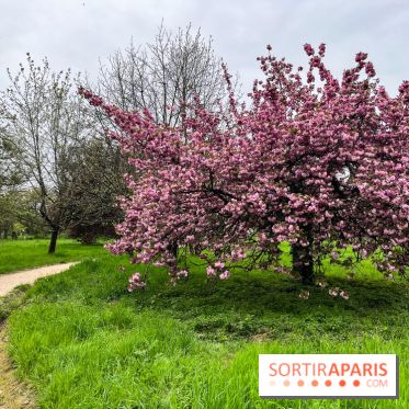 Arboretum de Paris - nos photos
