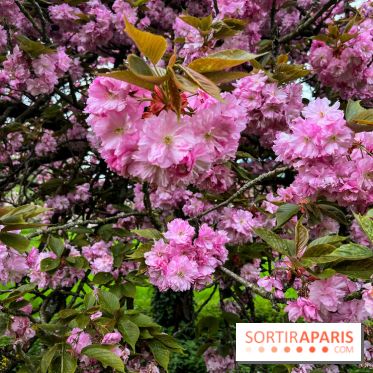 Arboretum de Paris - nos photos
