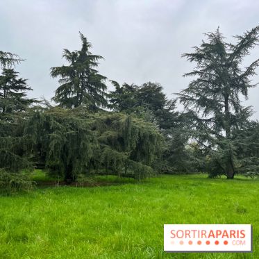 Arboretum de Paris - nos photos - image00032