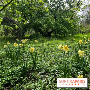 Jardin de l'Ecole du Breuil - nos photos