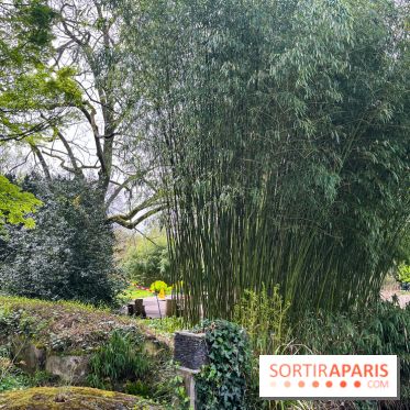 Jardin de l'Ecole du Breuil - nos photos
