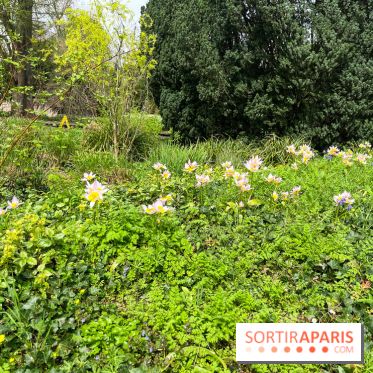 Jardin de l'Ecole du Breuil - nos photos