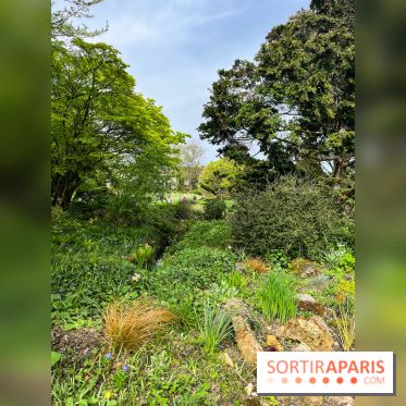 Jardin de l'Ecole du Breuil - nos photos