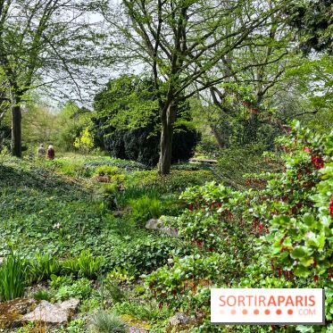 Jardin de l'Ecole du Breuil - nos photos