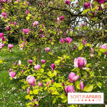 Jardin de l'Ecole du Breuil - nos photos