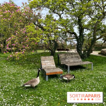 Jardin de l'Ecole du Breuil - nos photos