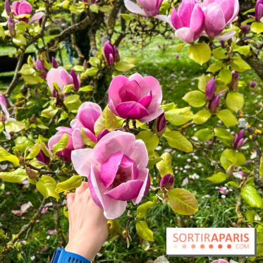 Jardin de l'Ecole du Breuil - nos photos