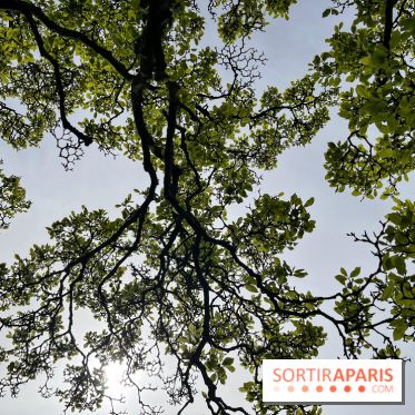 Jardin de l'Ecole du Breuil - nos photos