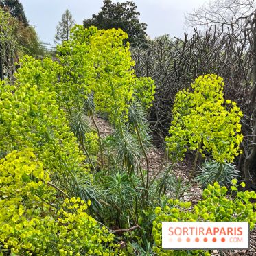 Jardin de l'Ecole du Breuil - nos photos
