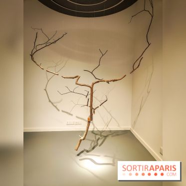 Les mondes imaginaires : l'exposition de sculptures onirique de l'Espace Monte-Cristo - photos - IMG20240412094934