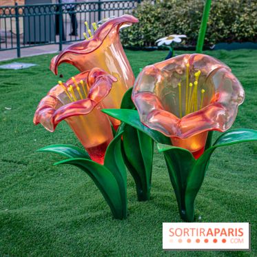 La Symphonie des Couleurs Disney à Disneyland Paris - DSC 9972