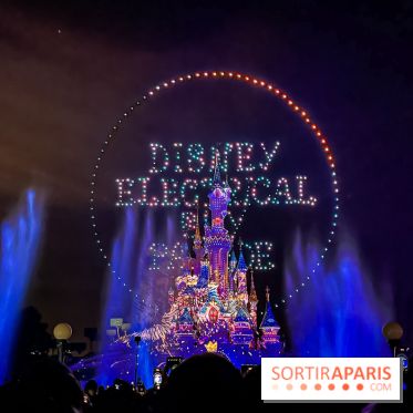 Disney Electrical Sky Parade - IMG 4475