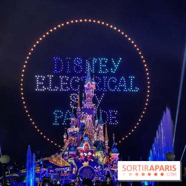 Disney Electrical Sky Parade - IMG 4478