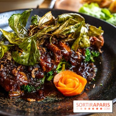 Q Bar, le bistrot et restaurant Thaïlandais à Paris -  canard au tamarin