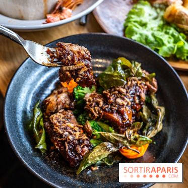 Q Bar, le bistrot et restaurant Thaïlandais à Paris -  canard au tamarin