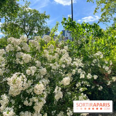 Jardin René Binet - nos photos - image00014