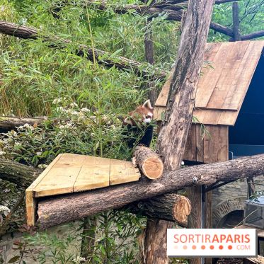 Ménagerie du Jardin des Plantes 2024 - nos photos