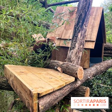 Ménagerie du Jardin des Plantes 2024 - nos photos - image00020