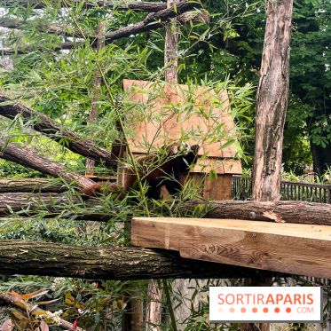 Ménagerie du Jardin des Plantes 2024 - nos photos - image00014