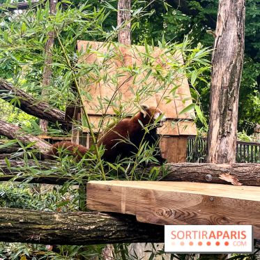 Ménagerie du Jardin des Plantes 2024 - nos photos - image00011