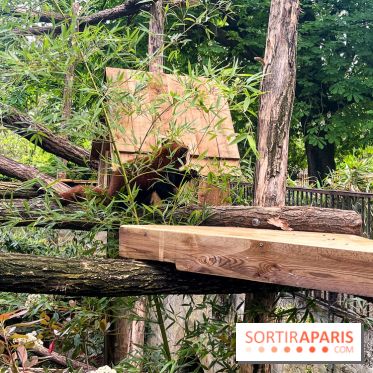 Ménagerie du Jardin des Plantes 2024 - nos photos - image00013