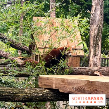 Ménagerie du Jardin des Plantes 2024 - nos photos