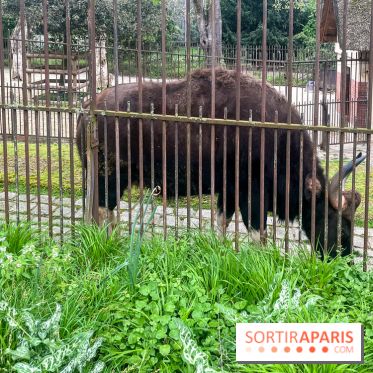 Ménagerie du Jardin des Plantes 2024 - nos photos