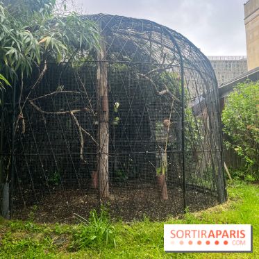 Ménagerie du Jardin des Plantes 2024 - nos photos