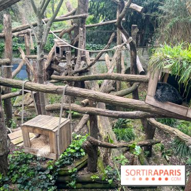Ménagerie du Jardin des Plantes 2024 - nos photos