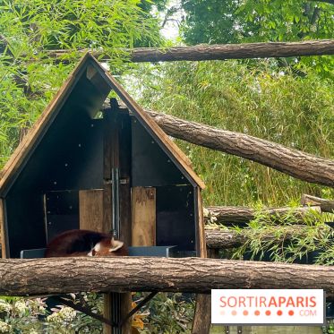 Ménagerie du Jardin des Plantes 2024 - nos photos - image00035