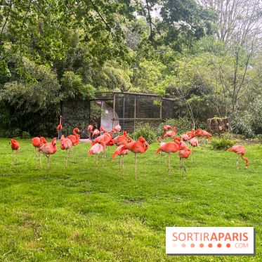 Ménagerie du Jardin des Plantes 2024 - nos photos