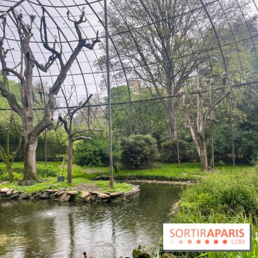 Ménagerie du Jardin des Plantes 2024 - nos photos - image00009