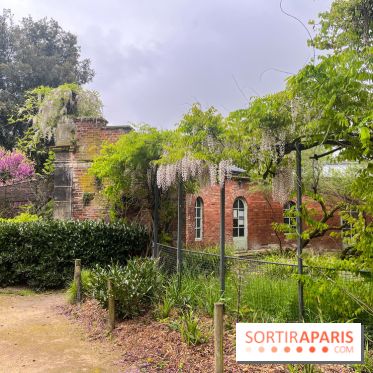 Ménagerie du Jardin des Plantes 2024 - nos photos - image00015