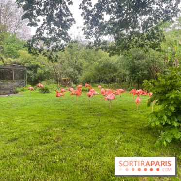 Ménagerie du Jardin des Plantes 2024 - nos photos - image00006