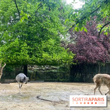 Ménagerie du Jardin des Plantes 2024 - nos photos