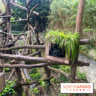 Ménagerie du Jardin des Plantes 2024 - nos photos - image00004