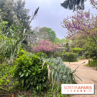 Ménagerie du Jardin des Plantes 2024 - nos photos