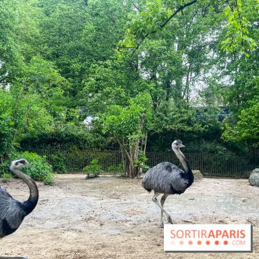 Ménagerie du Jardin des Plantes 2024 - nos photos